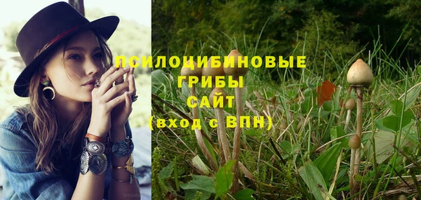 меф Арсеньев