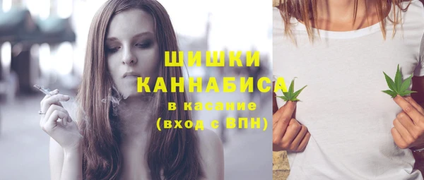 меф Арсеньев