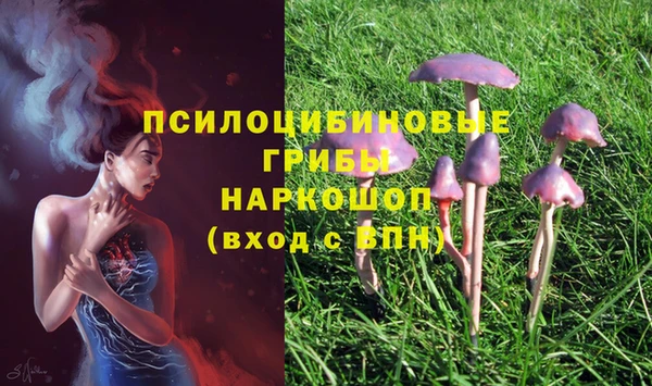 прущий лед Лиски