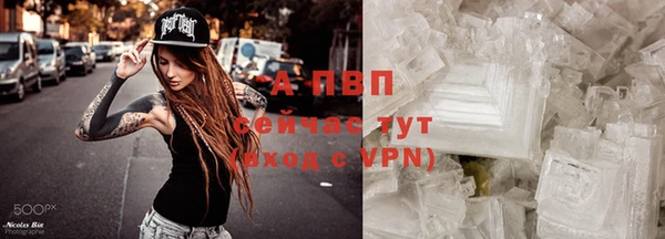 меф Арсеньев