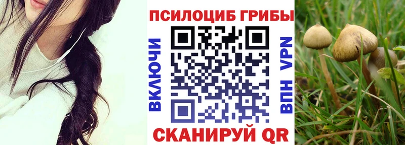 Псилоцибиновые грибы Psilocybine cubensis blacksprut ссылки Тара